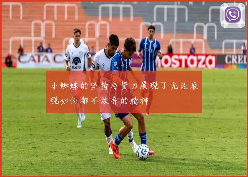 小蜘蛛的坚持与努力展现了无论表现如何都不放弃的精神