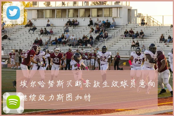 埃尔哈努斯买断条款生效球员意向继续效力斯图加特